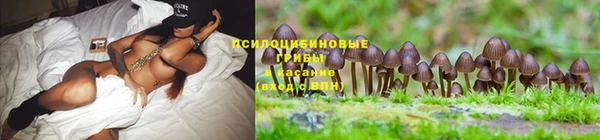 молекула духа Бугульма