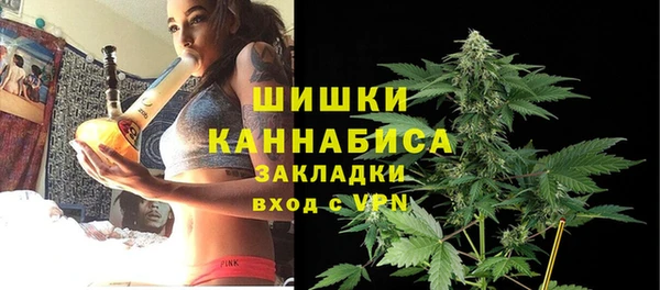 молекула духа Бугульма