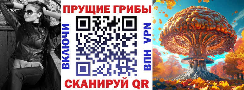 Псилоцибиновые грибы MAGIC MUSHROOMS  Гусев 